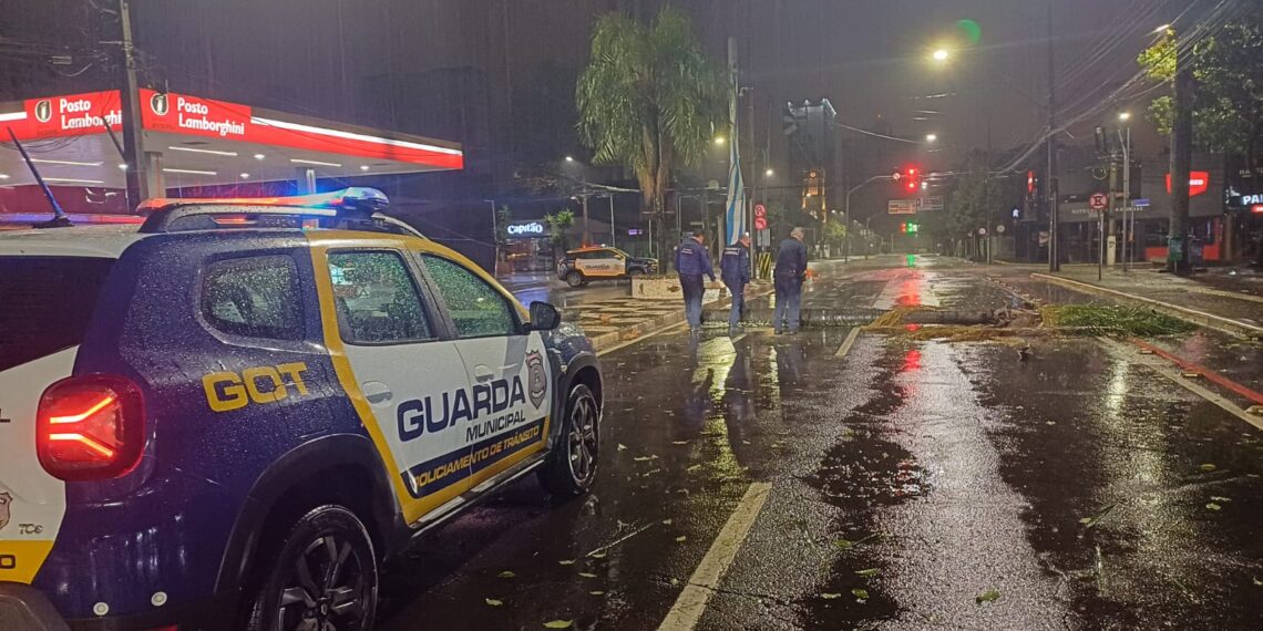 guarda municipal foz