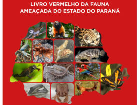 Governo do Estado vai lançar o Livro Vermelho da Fauna Ameaçada de Extinção do Estado do Paraná durante o Simpósio Latino-Americano de Biodiversidade e Mudanças Climáticas Foto: IAT