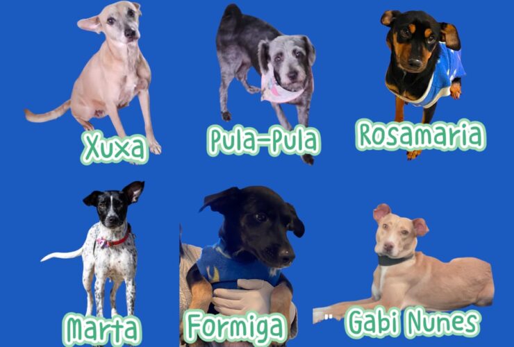 010e4b33 8220 413f 8112 49d880fa2dec