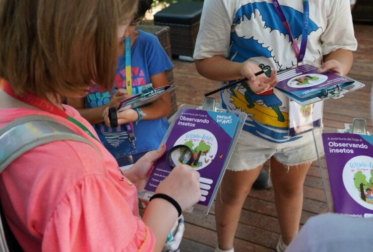 12893550 754b 4000 ad18 6b174b61e466