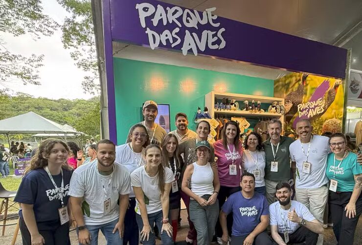 1400x900 imagem destaque materia 04 1