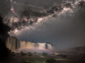 2d174890 2567 4689 8185 7b2151df818a