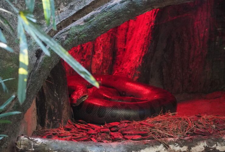 5a2a15d5 b9ef 4f3f ac83 fc994204fd7e