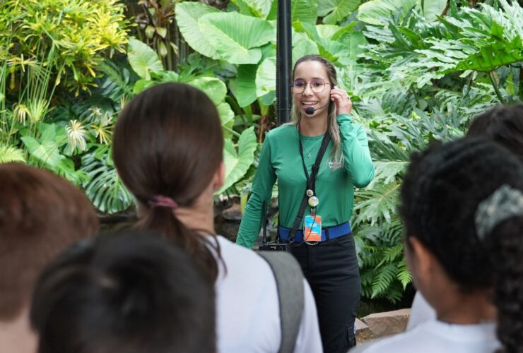 Imagem do WhatsApp de 2025 07 17 as 09.29.29 2a680c82