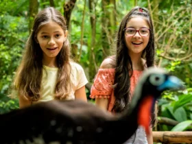 parque das aves 2
