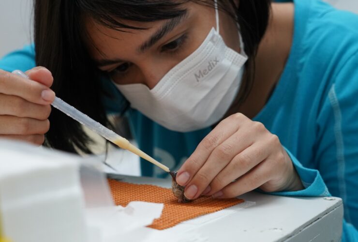 2b5c55a7 9124 42df 9fbd fbb00e565ce3