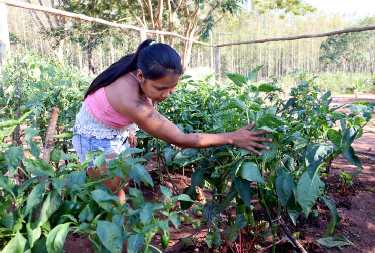 3377755a 16d4 4ae9 8fba 5fb5fba5650f