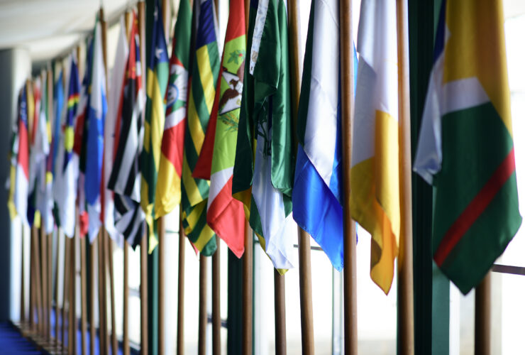 53041429340 495e05ec1b o