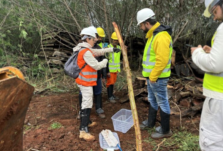 Imagem do WhatsApp de 2025 08 12 as 11.59.35 79a4575a