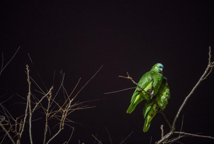 Imagem do WhatsApp de 2025 08 21 as 10.52.20 f858788e