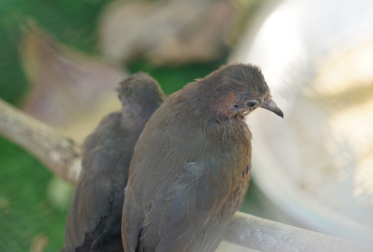 Imagem do WhatsApp de 2025 08 28 as 21.29.35 efb65e91