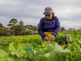Mujeres trabajadoras de la tierra haciendo produccion agroecologica Berna Gaitan Otaran 05