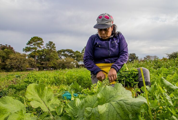 Mujeres trabajadoras de la tierra haciendo produccion agroecologica Berna Gaitan Otaran 05
