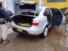 carro da maconha