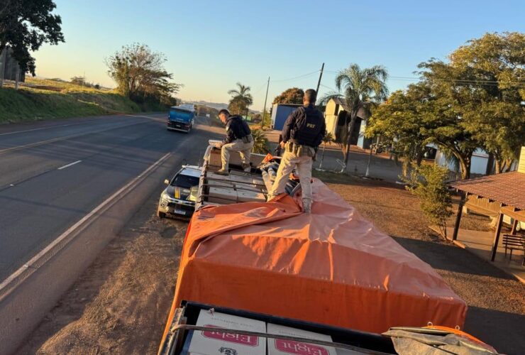 cigarros apreendidos