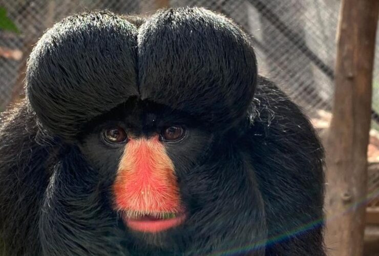 ecopark 2 1140x570 mais topo