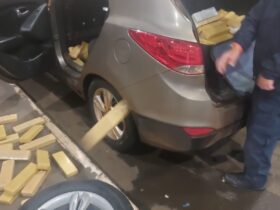 maconha carro