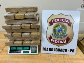 maconha rodoviaria