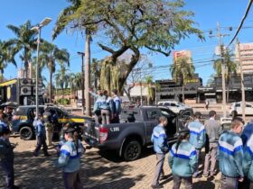 semana transito 1