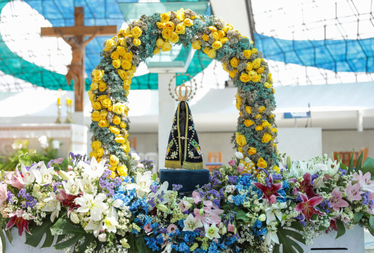 53243505661 095b904810 b