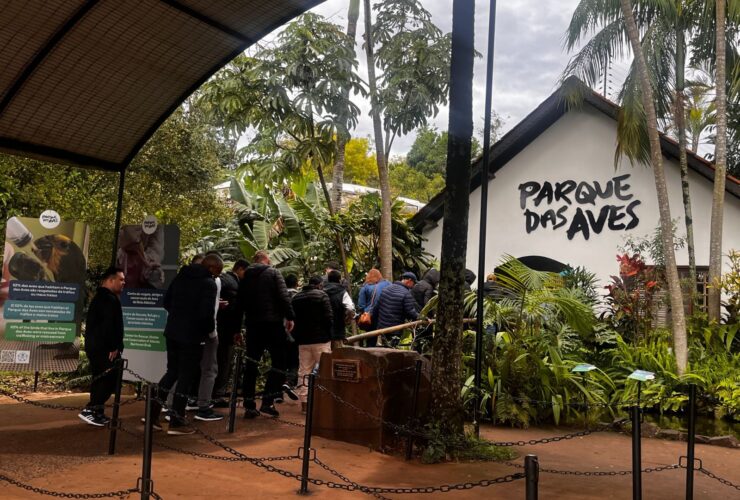 Imagem do WhatsApp de 2025 09 01 as 13.11.46 fa844702