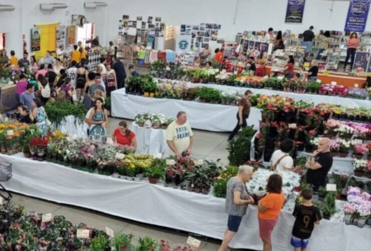 Imagem do WhatsApp de 2025 09 01 as 13.38.22 355bb455