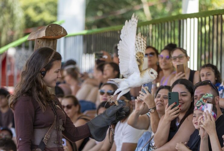 Imagem do WhatsApp de 2025 09 11 as 10.23.55 44c74135