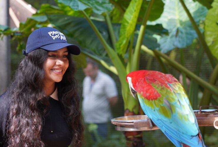 Imagem do WhatsApp de 2025 09 25 as 13.30.21 e9a8f1c0