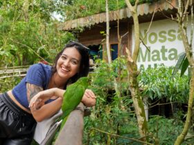 Imagem do WhatsApp de 2025 09 26 as 11.46.21 f7b6869a