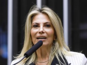 cida borghetti
