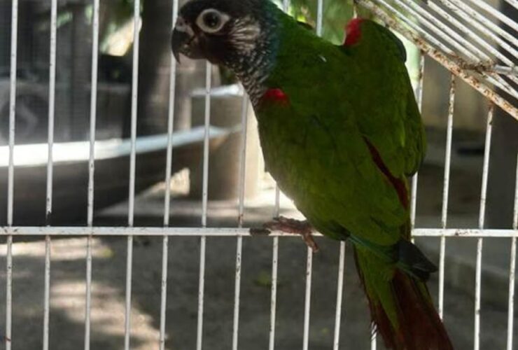 e6cb18b4 d8f7 4df0 82c4 299b9af7f770