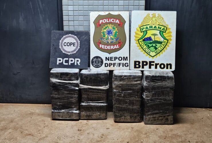 maconha apreendida 1