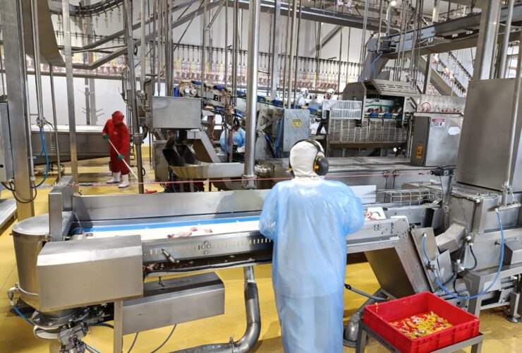 operacao previdencia