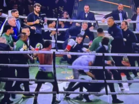 popo x wanderlei