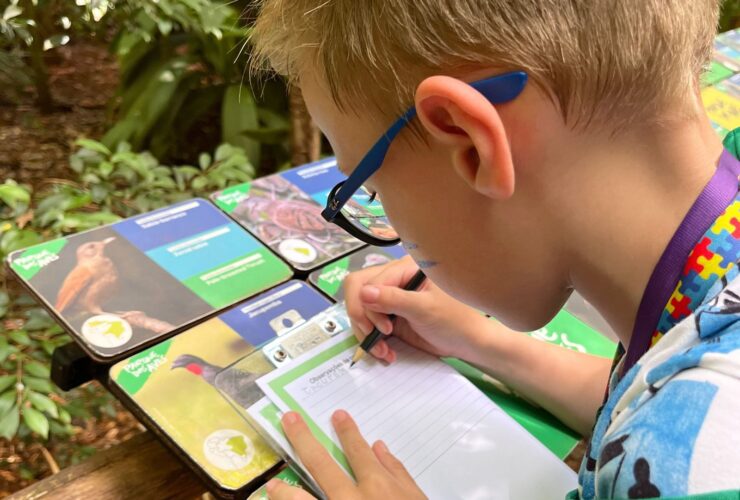 85d28ea9 258b 43ff 9e9a 838f3fa35008