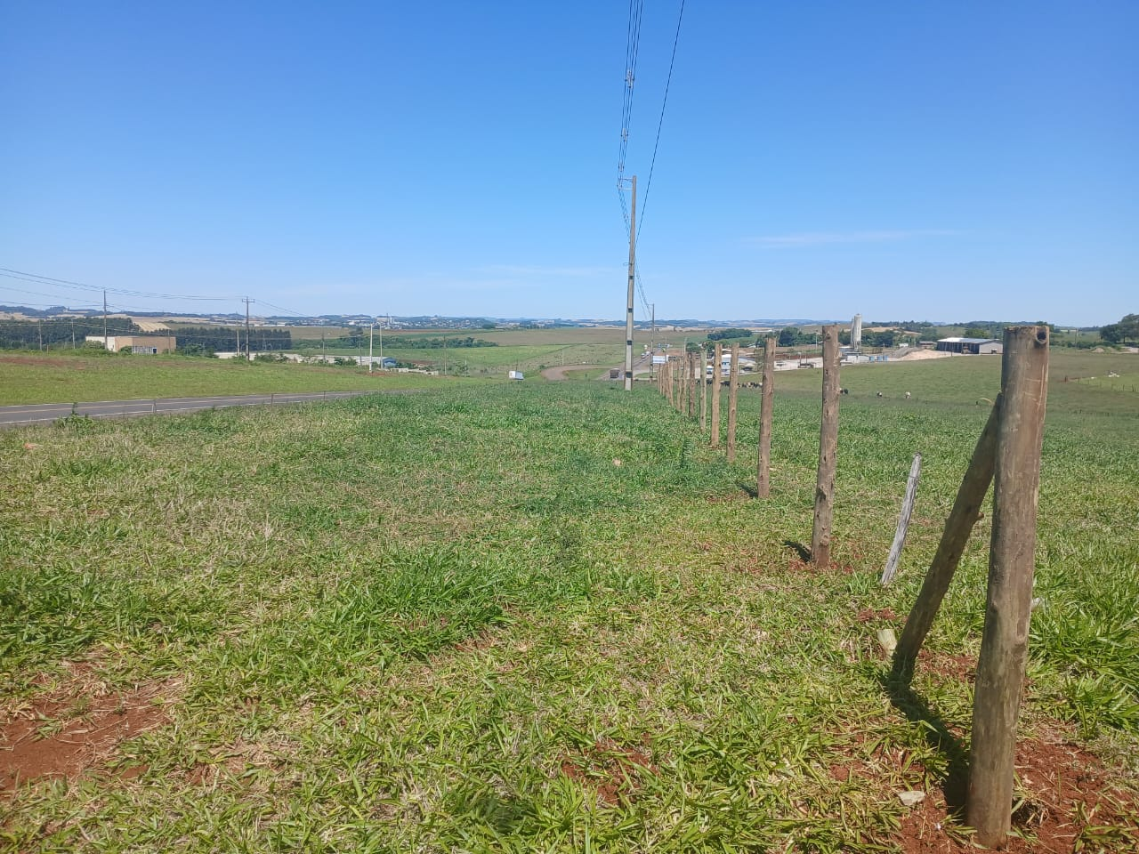 EPR Iguaçu atua na delimitação da faixa de domínio e deve concluir trabalhos na Br 277 até dezembro 1 IMG 8826