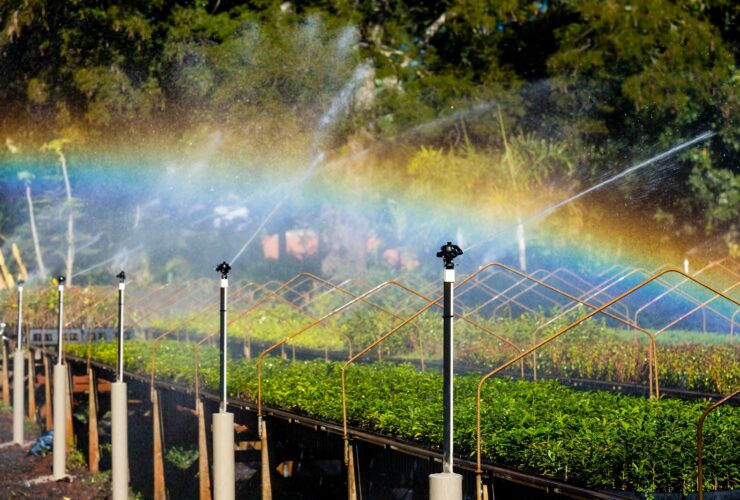 Imagem do WhatsApp de 2025 10 01 as 09.21.35 3d8c7f10