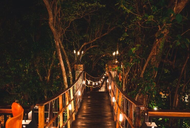 Imagem do WhatsApp de 2025 10 03 as 09.16.53 e9d1ba8b