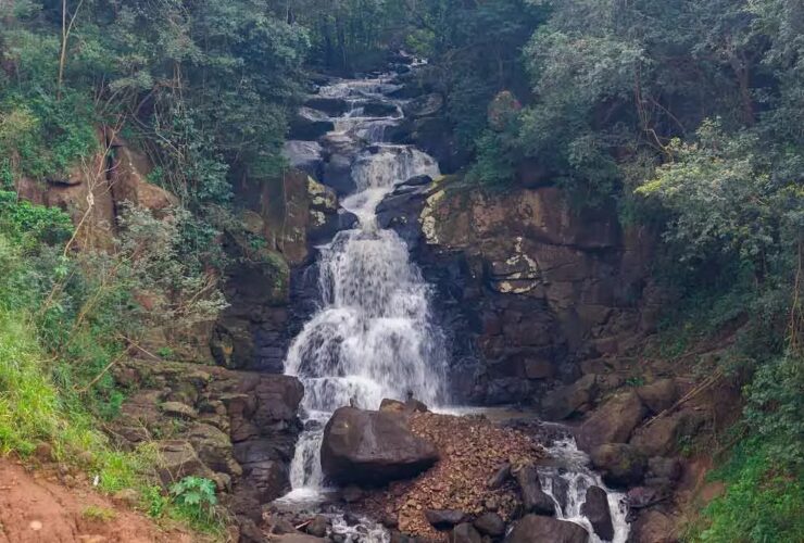 Imagem do WhatsApp de 2025 10 03 as 16.14.34 1a1c52e6