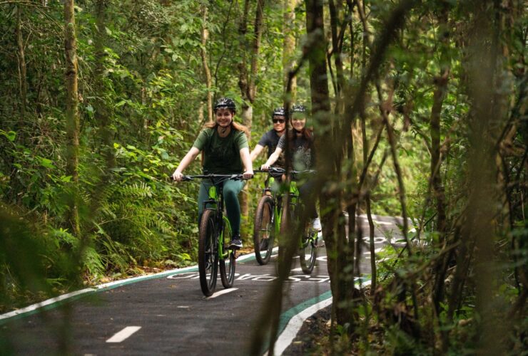 Imagem do WhatsApp de 2025 10 10 as 10.12.48 2c53e28c