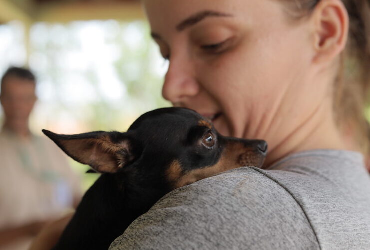 Imagem do WhatsApp de 2025 10 10 as 11.58.11 afc2ef66