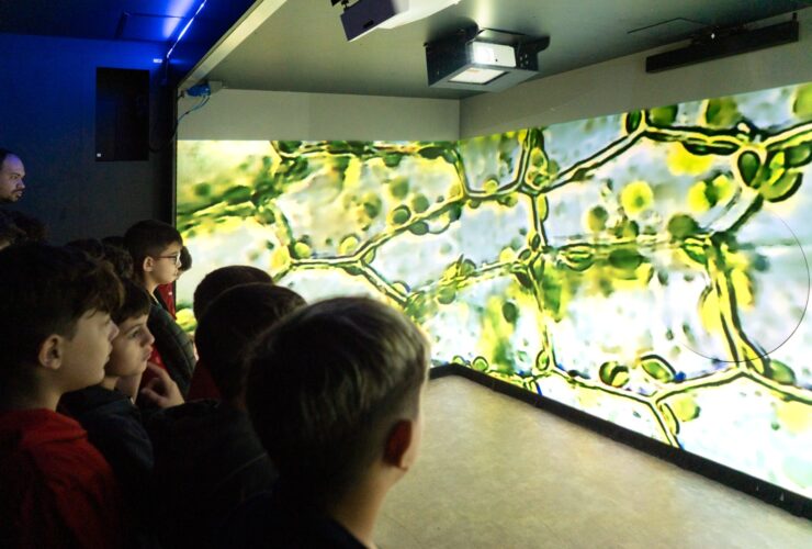 Imagem do WhatsApp de 2025 10 13 as 10.37.32 842ffc80