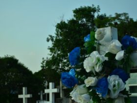 Imagem do WhatsApp de 2025 10 30 as 16.09.14 7708f3d9