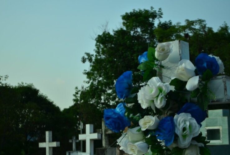 Imagem do WhatsApp de 2025 10 30 as 16.09.14 7708f3d9