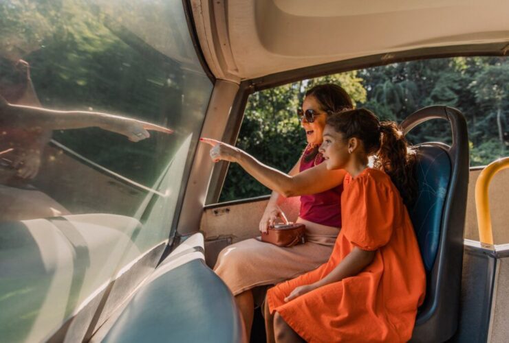 WhatsApp Image 2025 10 08 at 11.58.47