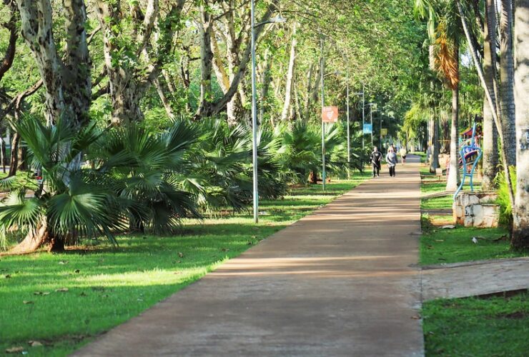 a66eb667 006e 409c 8cf7 3569757a988e