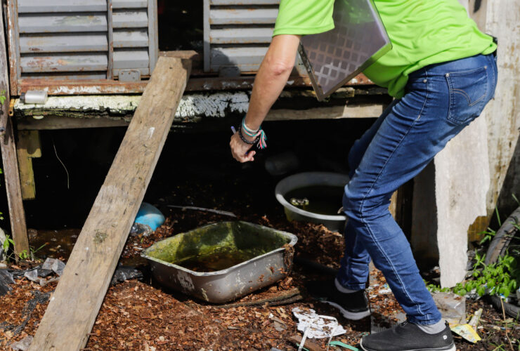 acao dengue foto rdziura 5371 2 1