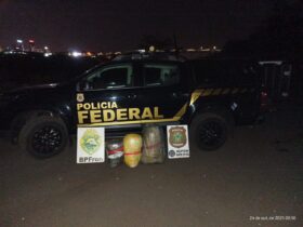 apreensao maconha