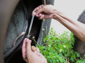 fiscais vao entrar em casas fechadas e abandonadas para eliminar focos da dengue 68f102d33f051