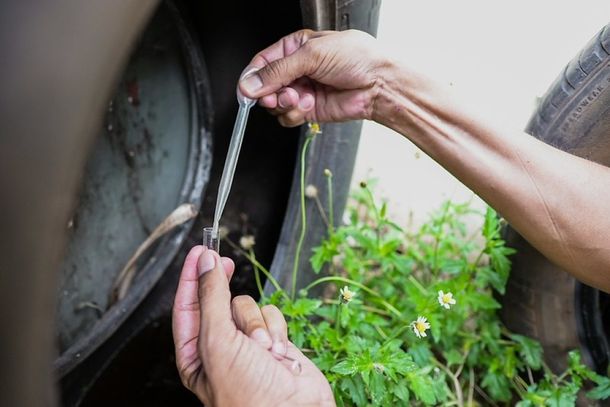 fiscais vao entrar em casas fechadas e abandonadas para eliminar focos da dengue 68f102d33f051